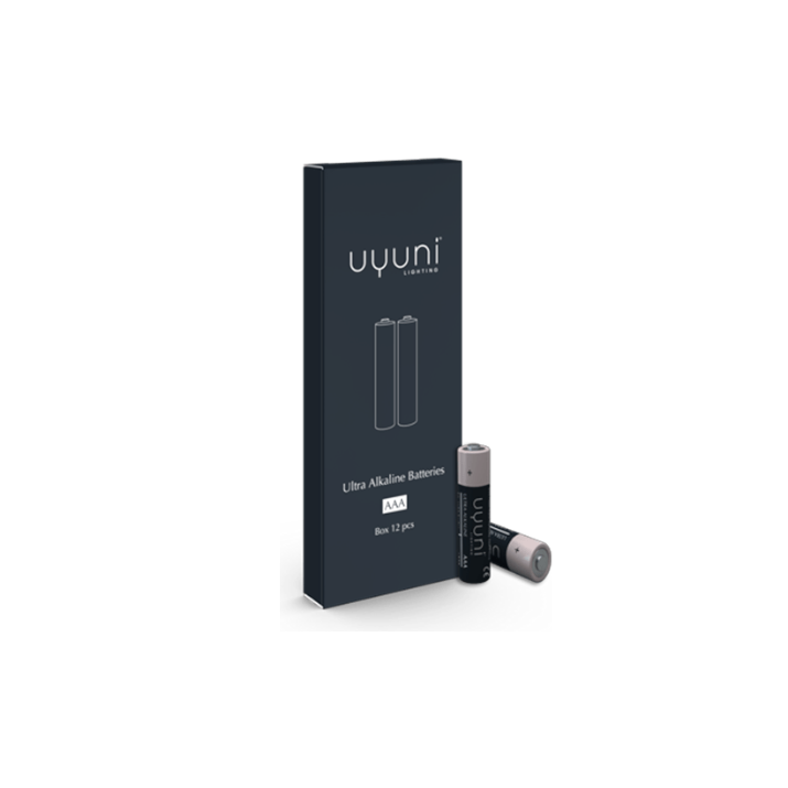 Uyuni batterijen AAA | 12-pack